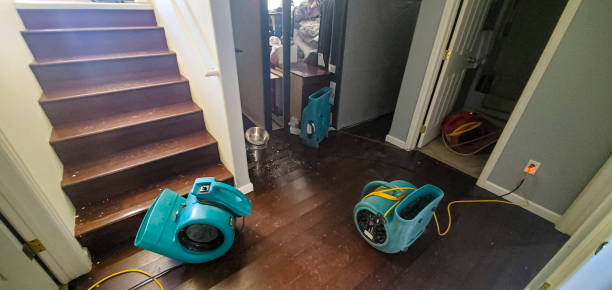 Best Flood damage cleanup  in Argyle, TX
