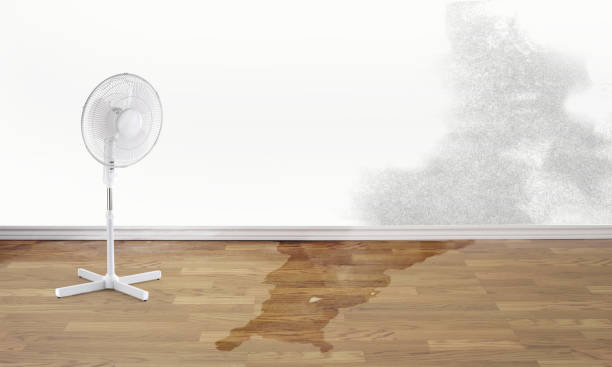 Fire Damage Restoration in Argyle, TX
