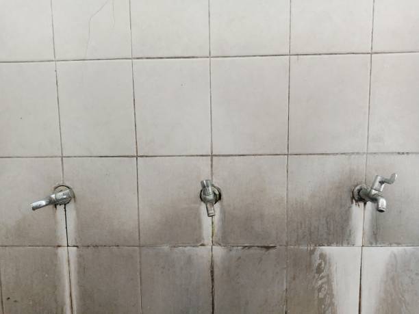 Best Water damage contractors near me  in Argyle, TX
