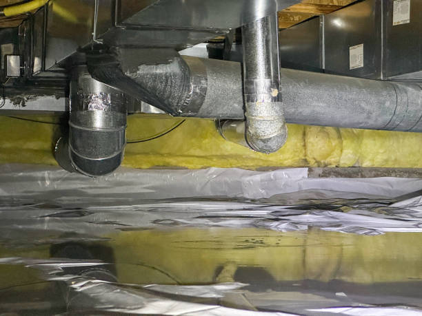 Best Mold removal after water damage  in Argyle, TX
